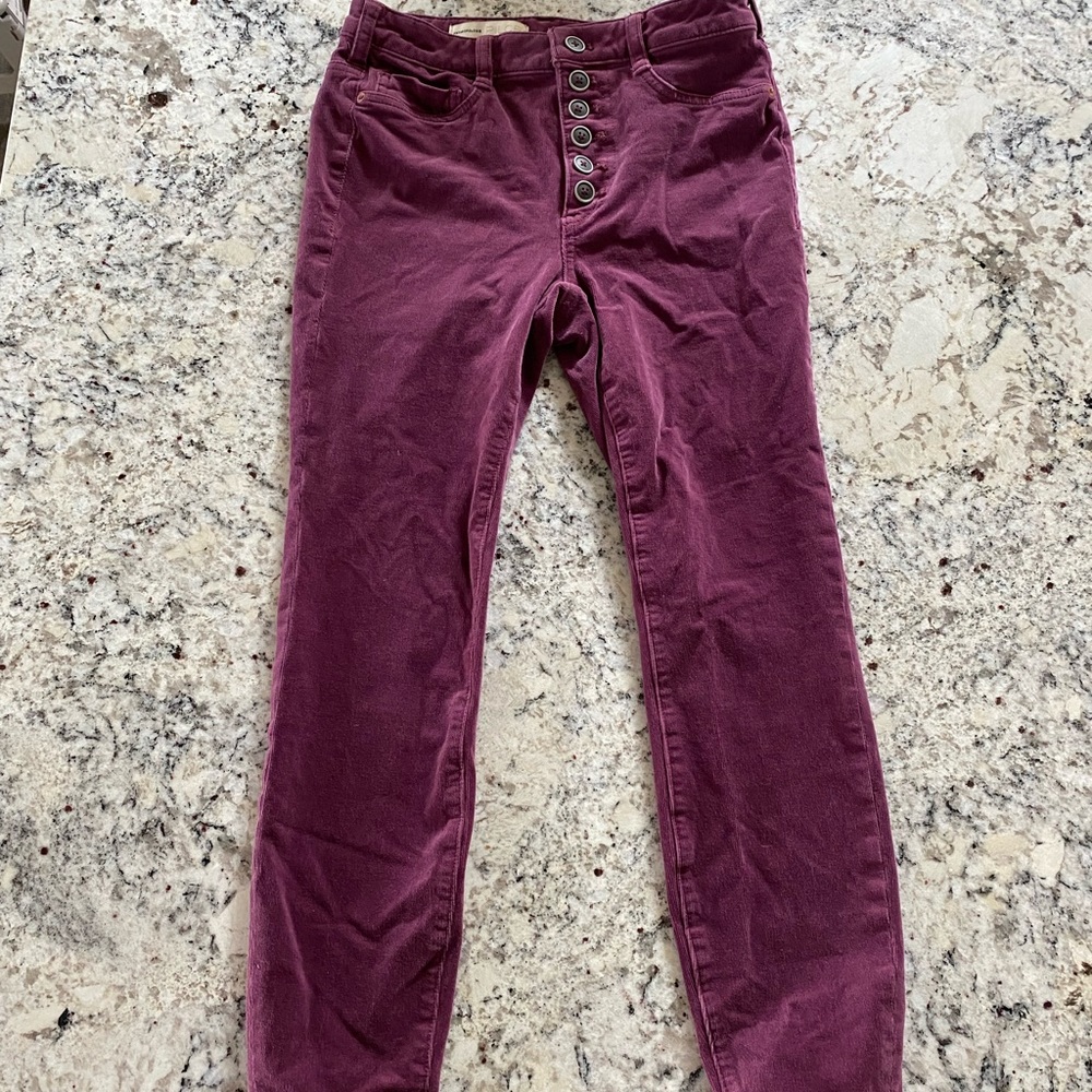 Anthropologie pilcro pants